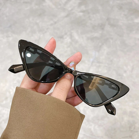 Small Trendy Fashionable Glasses